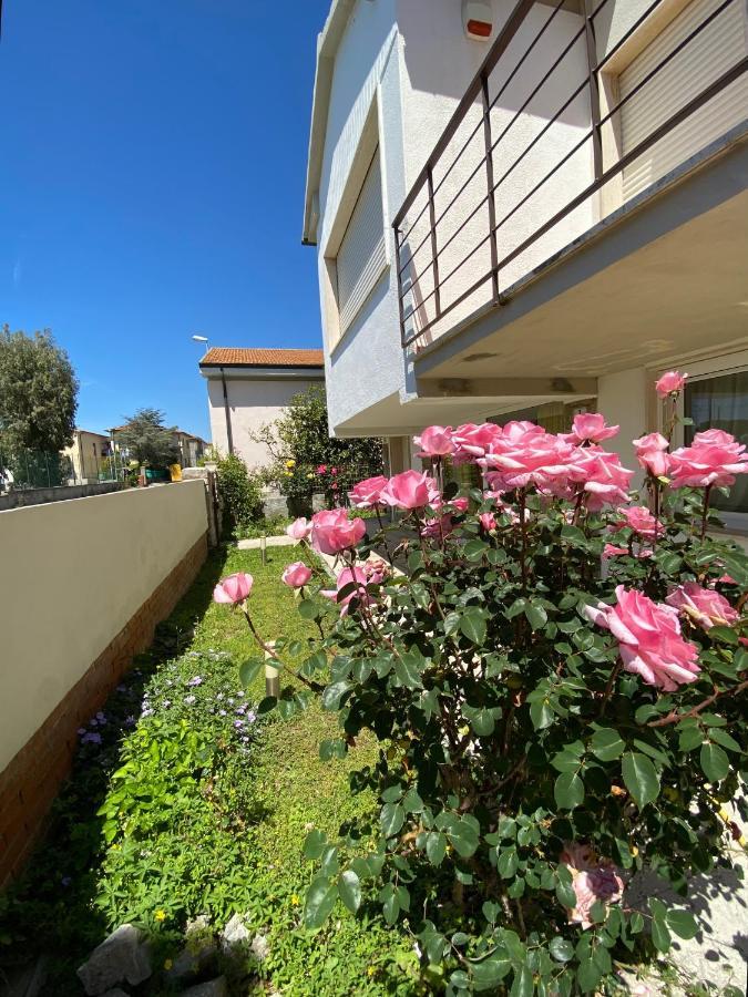Casa Summer Чечина Экстерьер фото